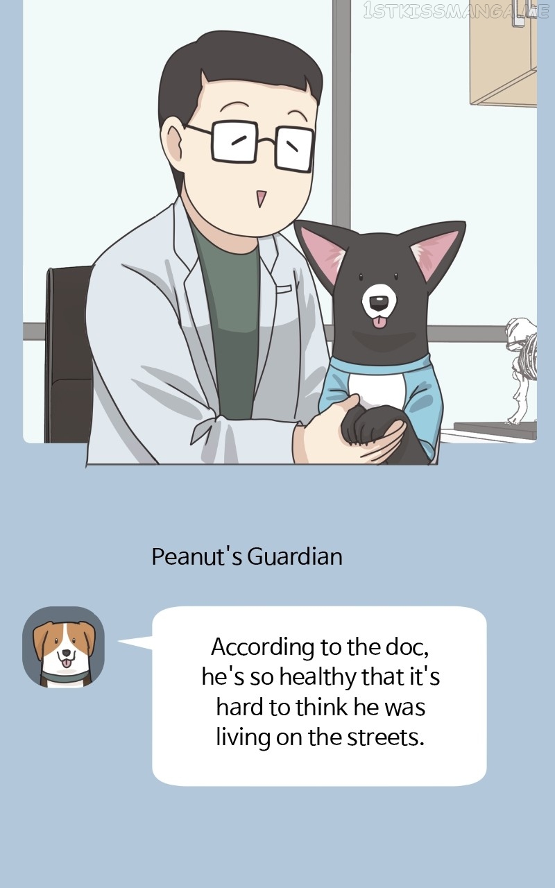 The Dog Diaries Chapter 92 - page 63