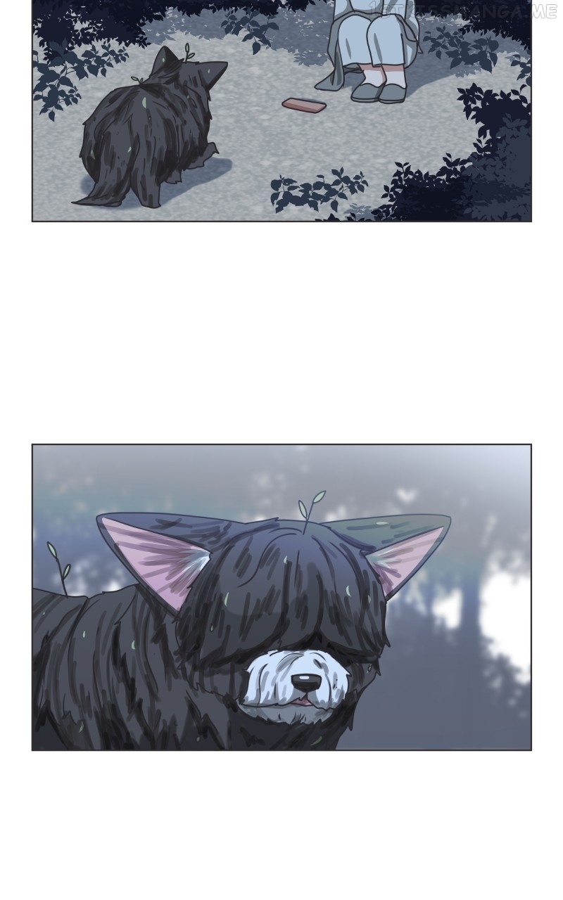 The Dog Diaries Chapter 91 - page 14