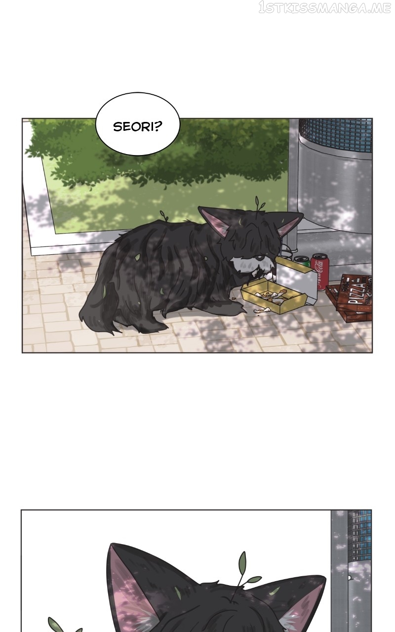 The Dog Diaries Chapter 91 - page 36