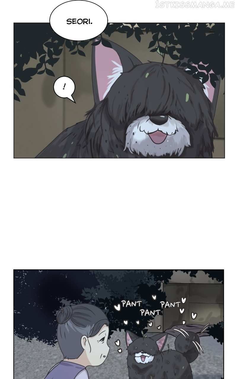 The Dog Diaries Chapter 90 - page 42