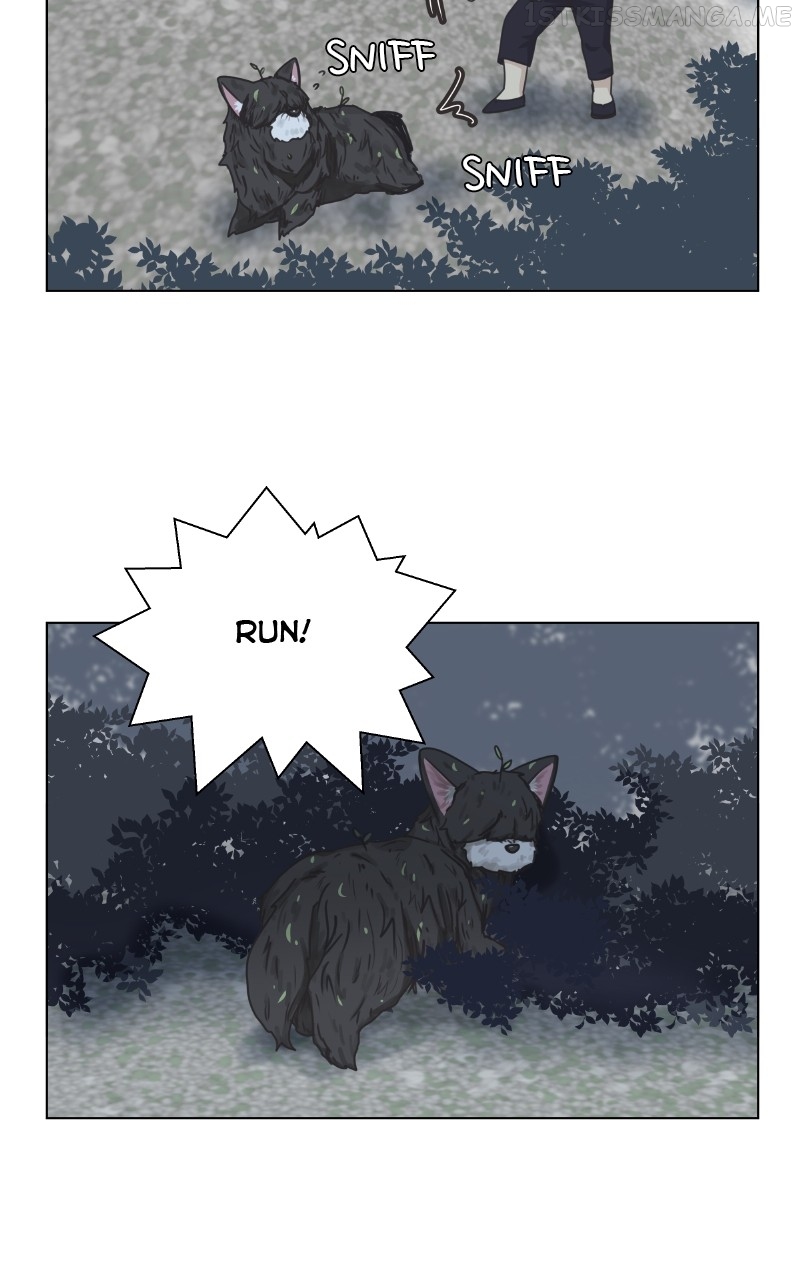 The Dog Diaries Chapter 90 - page 50