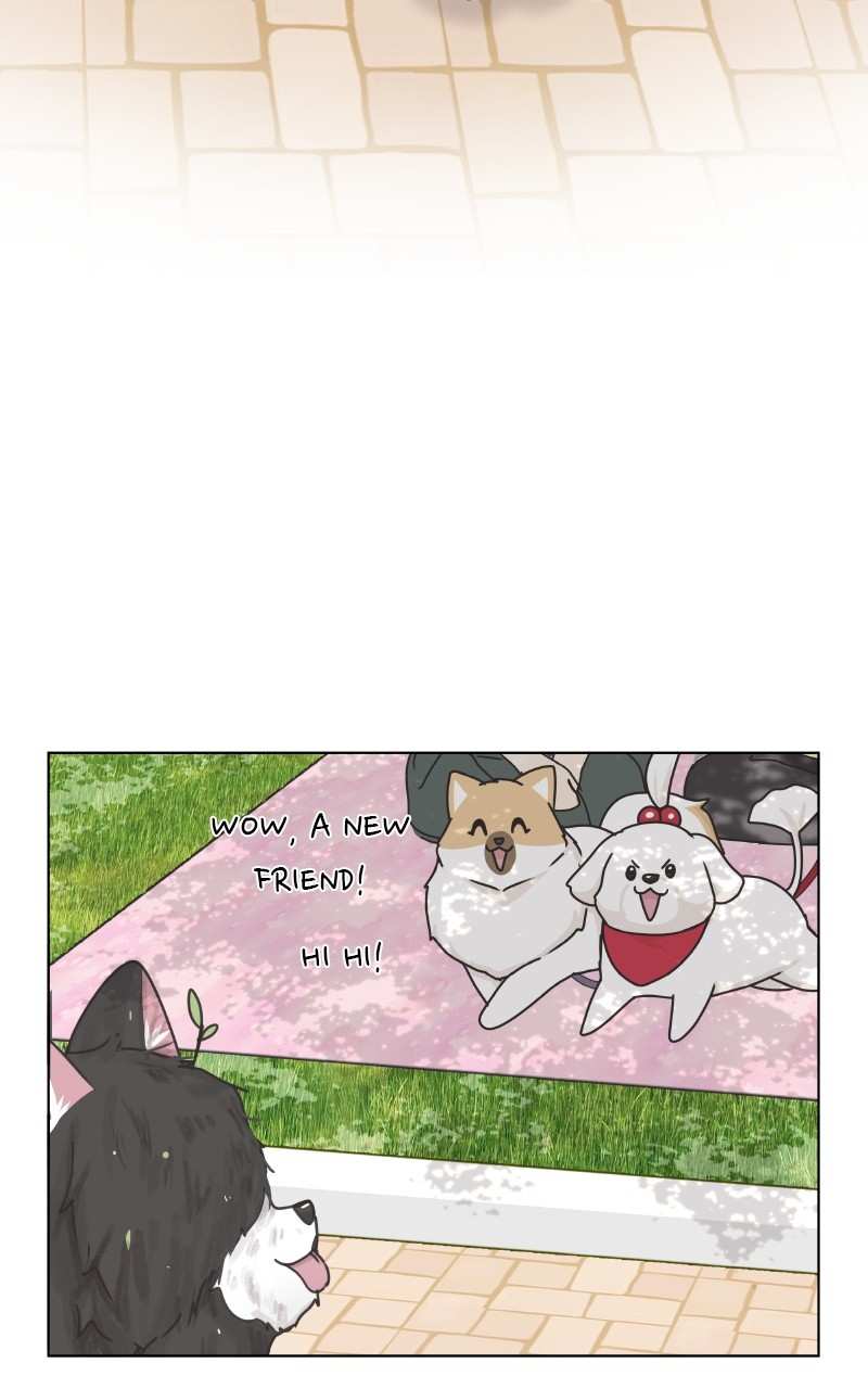 The Dog Diaries Chapter 88 - page 27