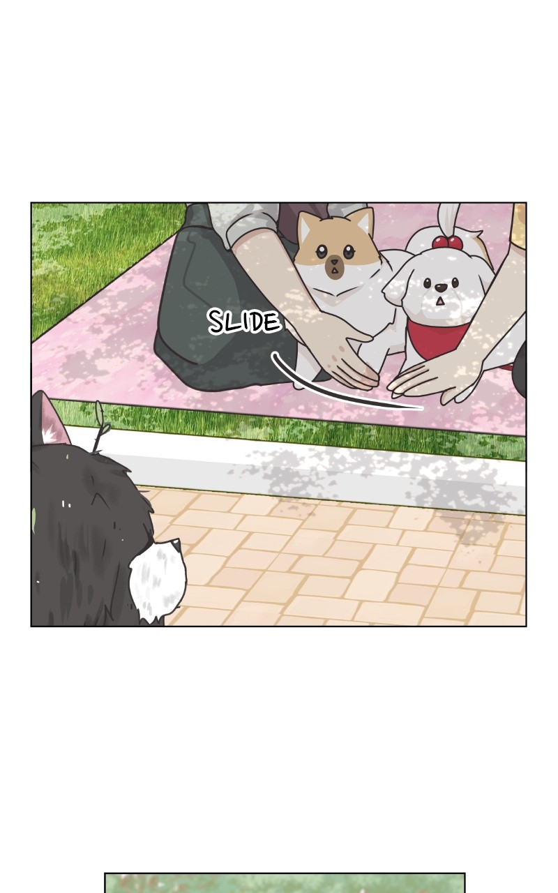 The Dog Diaries Chapter 88 - page 28