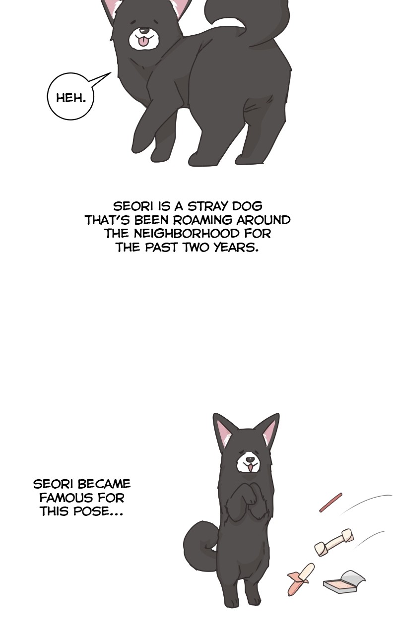 The Dog Diaries Chapter 88 - page 37