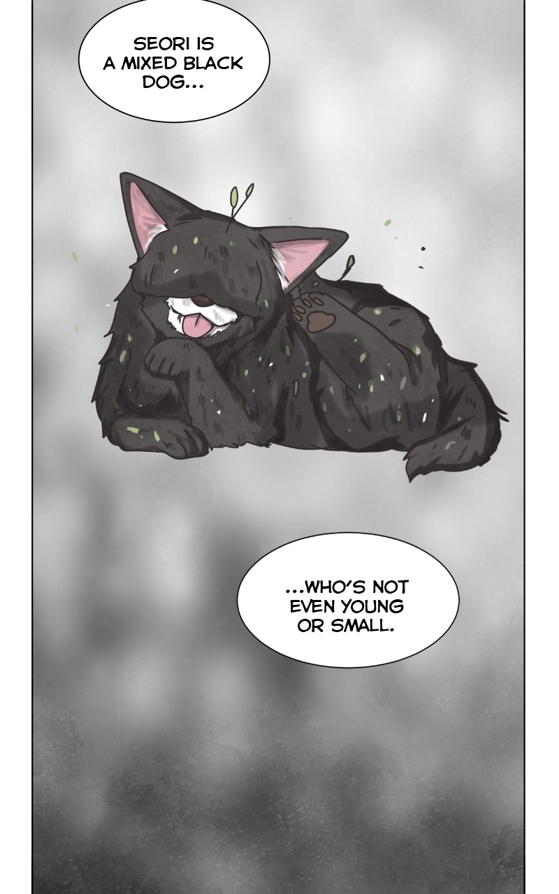 The Dog Diaries Chapter 88 - page 44