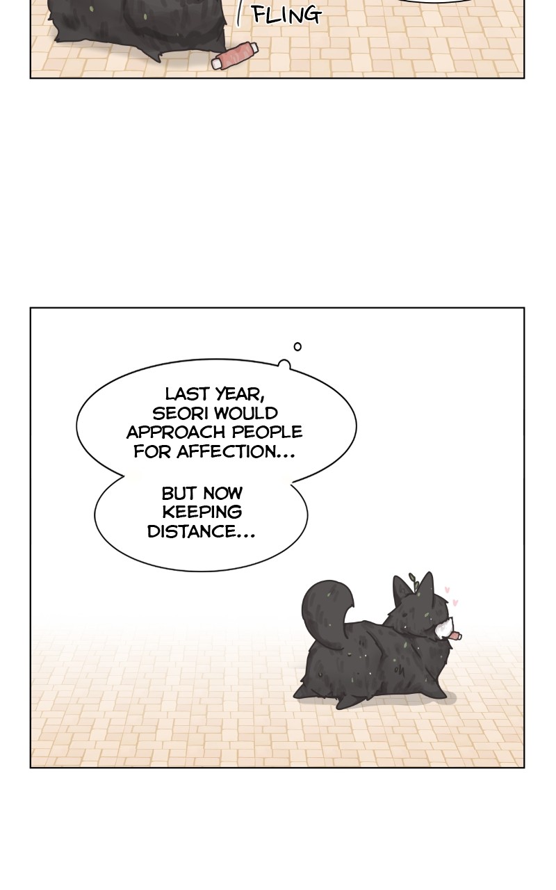 The Dog Diaries Chapter 88 - page 48