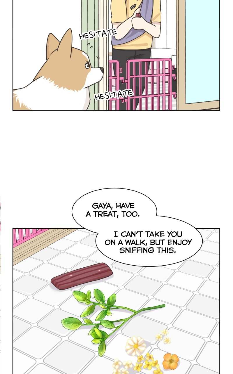 The Dog Diaries Chapter 88 - page 59