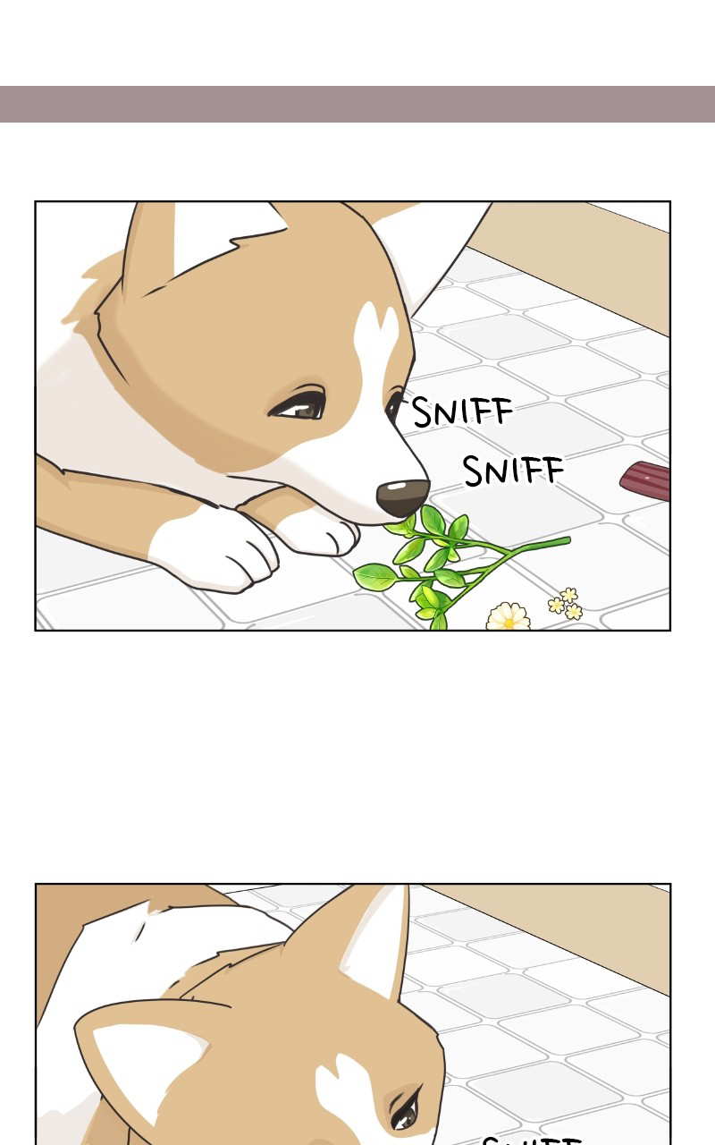 The Dog Diaries Chapter 88 - page 61