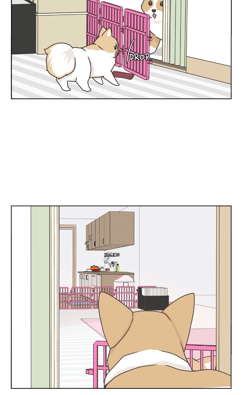 The Dog Diaries Chapter 88 - page 67
