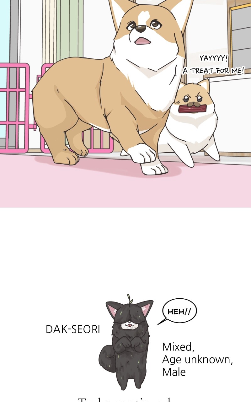 The Dog Diaries Chapter 88 - page 70