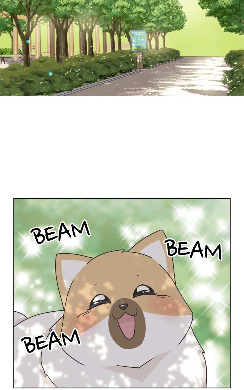 The Dog Diaries Chapter 88 - page 9