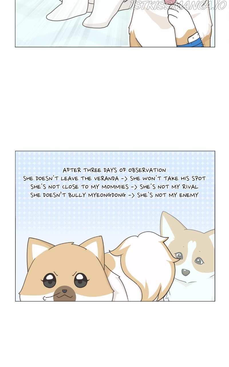 The Dog Diaries Chapter 82 - page 10