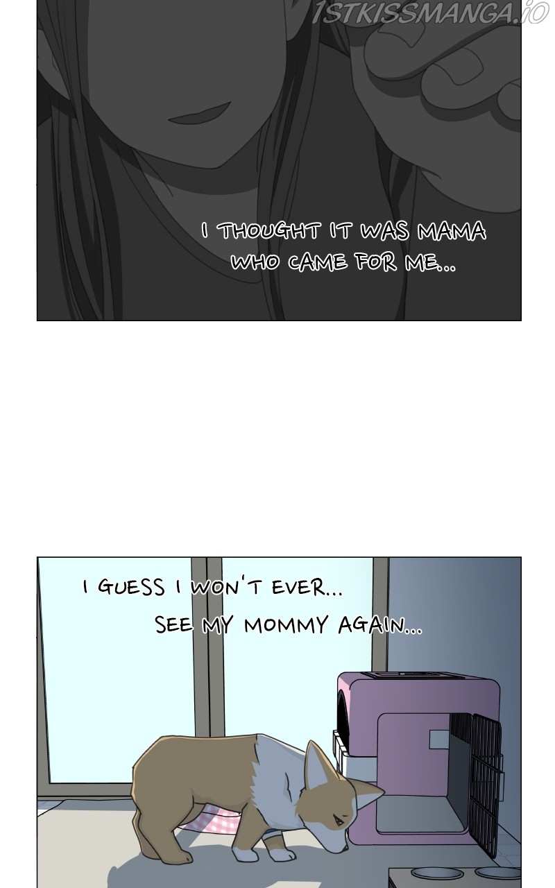 The Dog Diaries Chapter 82 - page 37