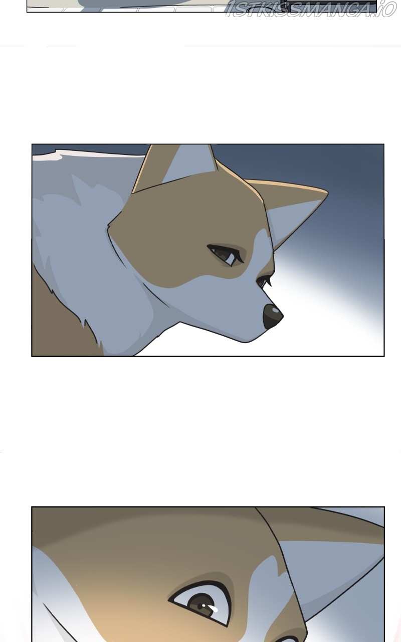 The Dog Diaries Chapter 82 - page 38