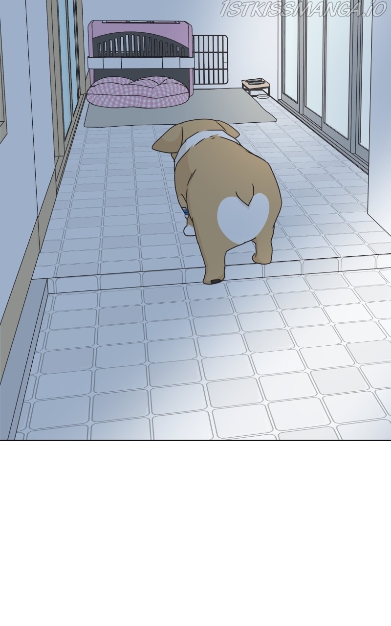 The Dog Diaries Chapter 82 - page 55