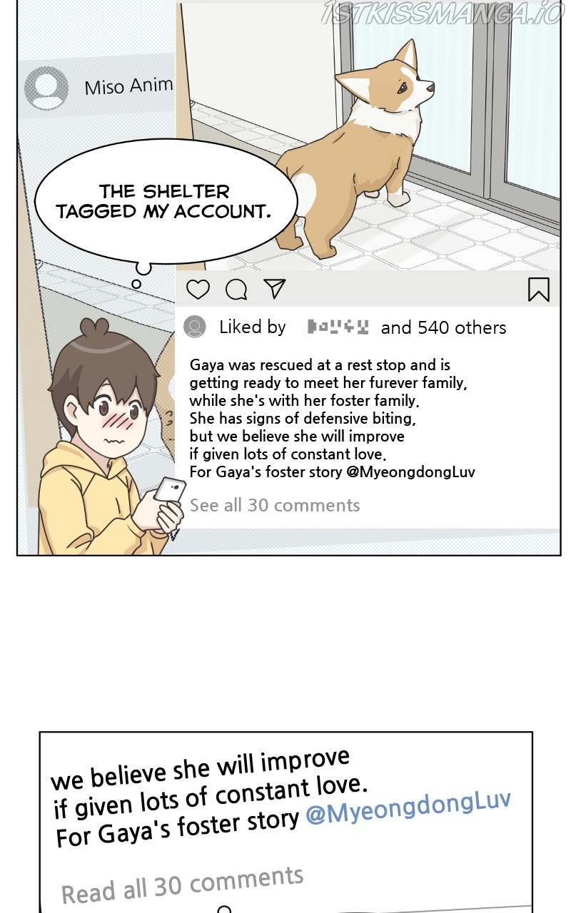 The Dog Diaries Chapter 82 - page 59