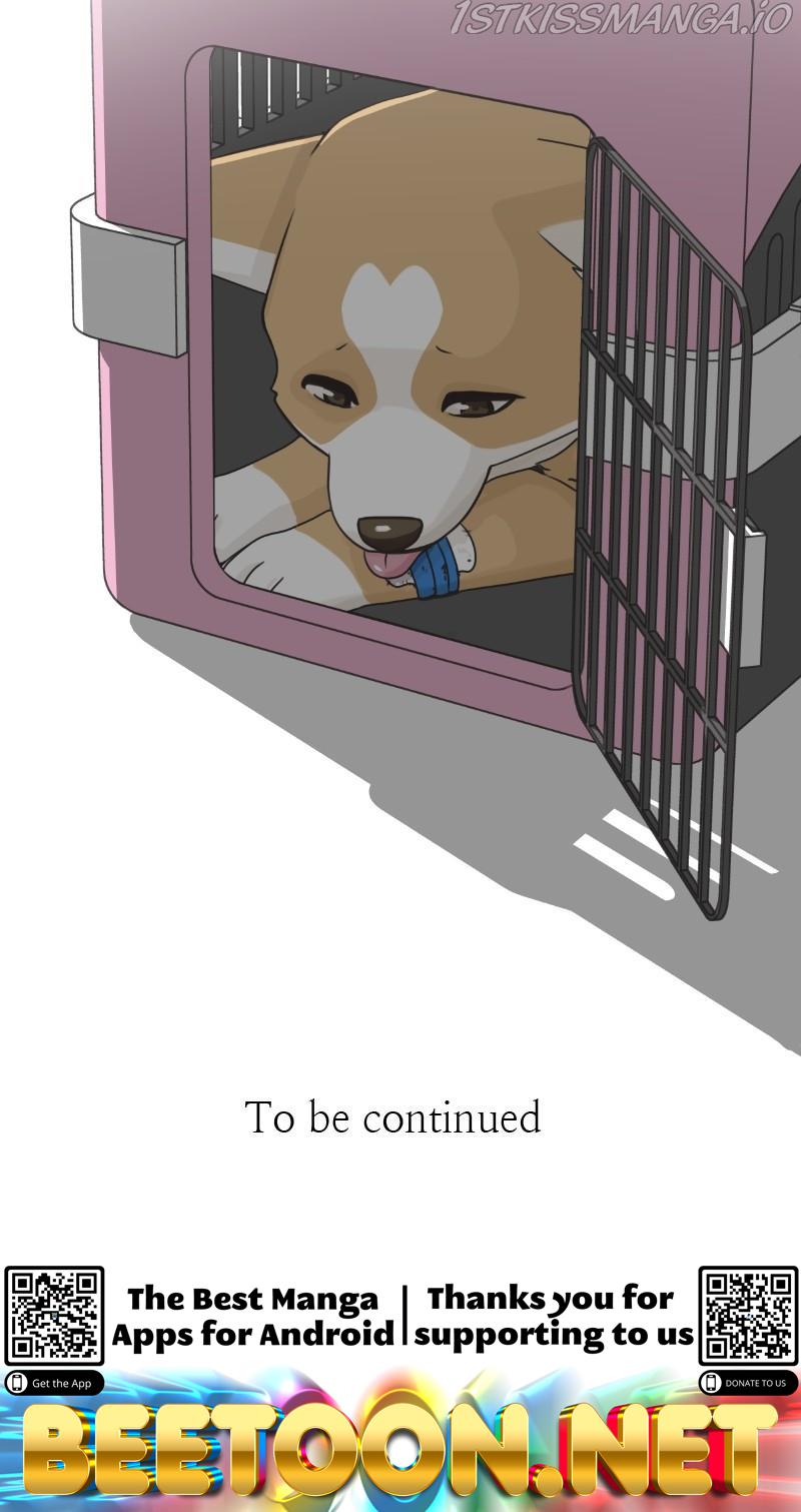The Dog Diaries Chapter 82 - page 63