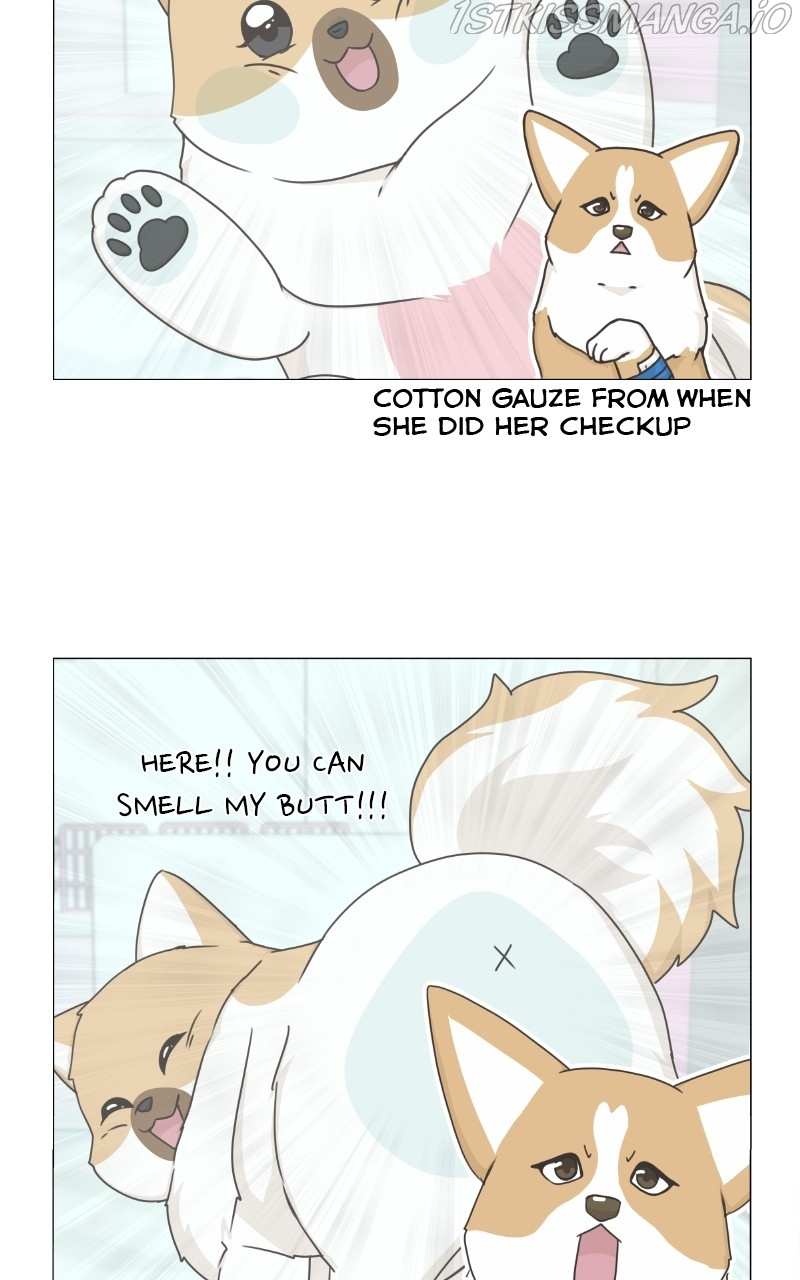 The Dog Diaries Chapter 82 - page 9