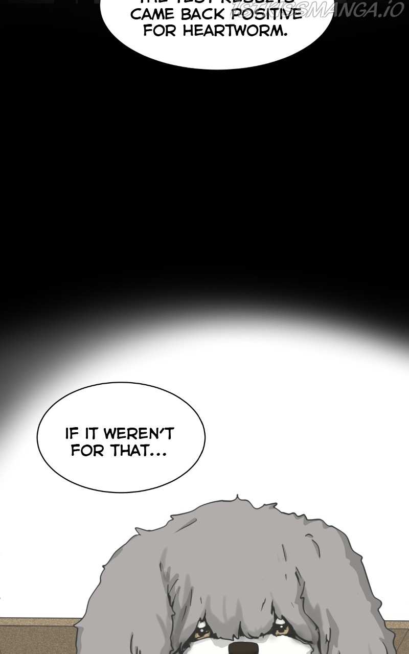 The Dog Diaries Chapter 80 - page 64