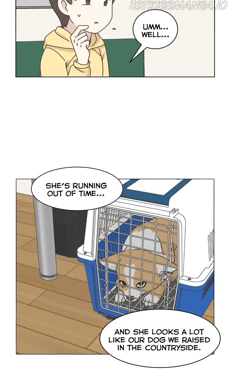 The Dog Diaries Chapter 80 - page 9