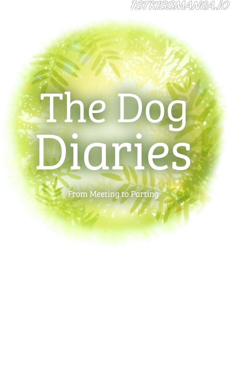 The Dog Diaries Chapter 77 - page 11