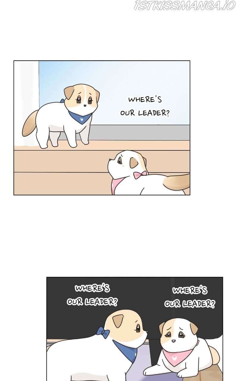 The Dog Diaries Chapter 77 - page 13
