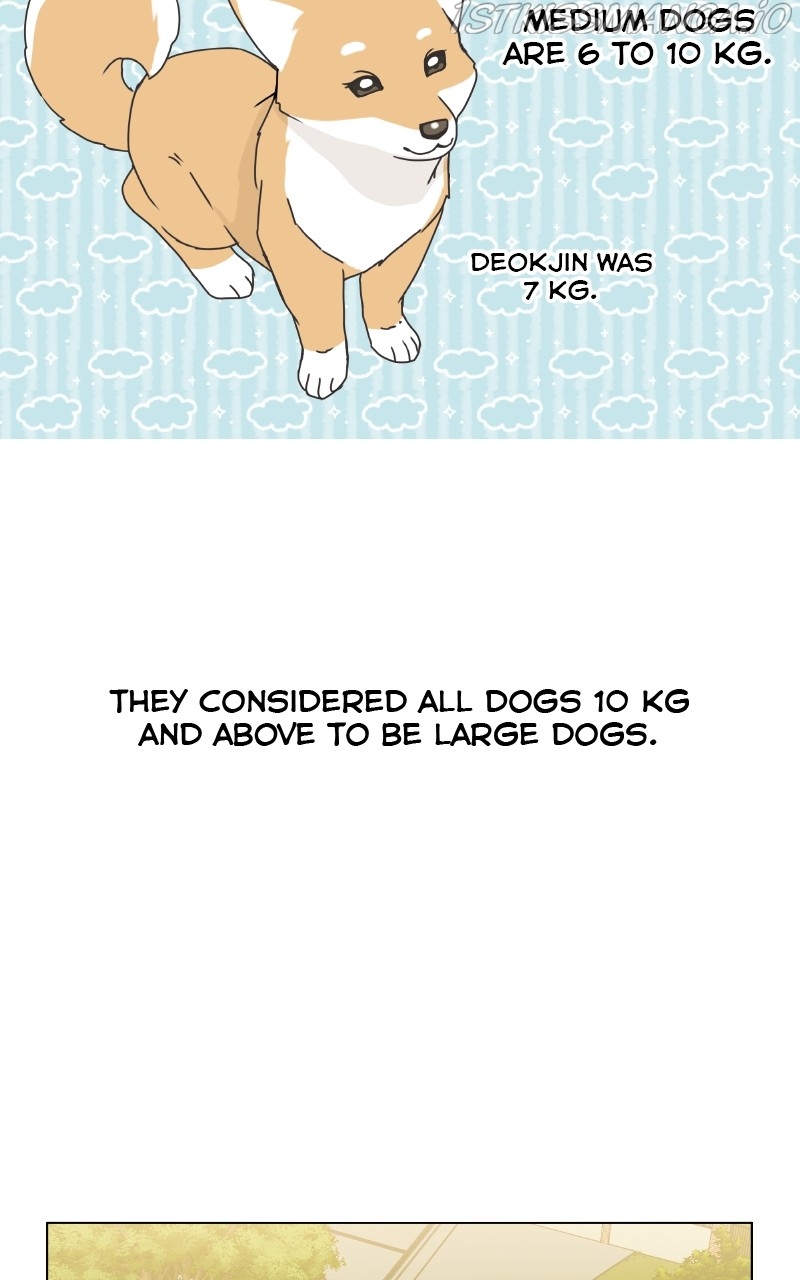 The Dog Diaries Chapter 77 - page 2