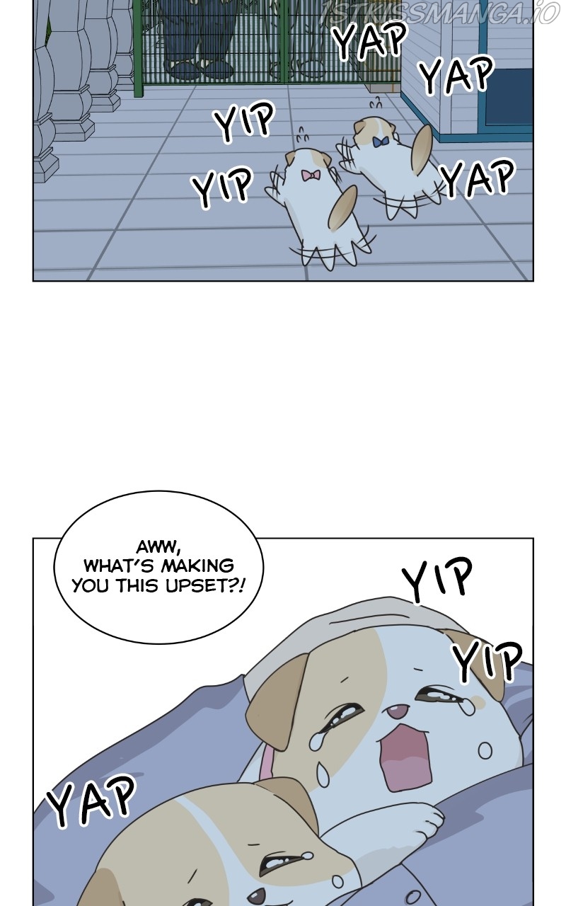 The Dog Diaries Chapter 77 - page 49
