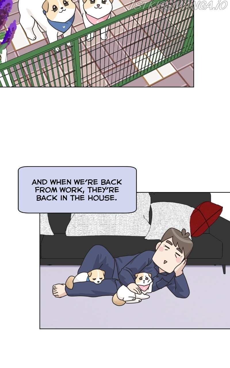 The Dog Diaries Chapter 77 - page 57