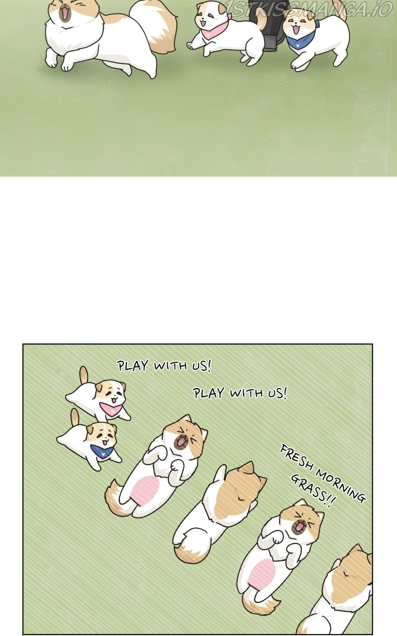 The Dog Diaries Chapter 76 - page 46