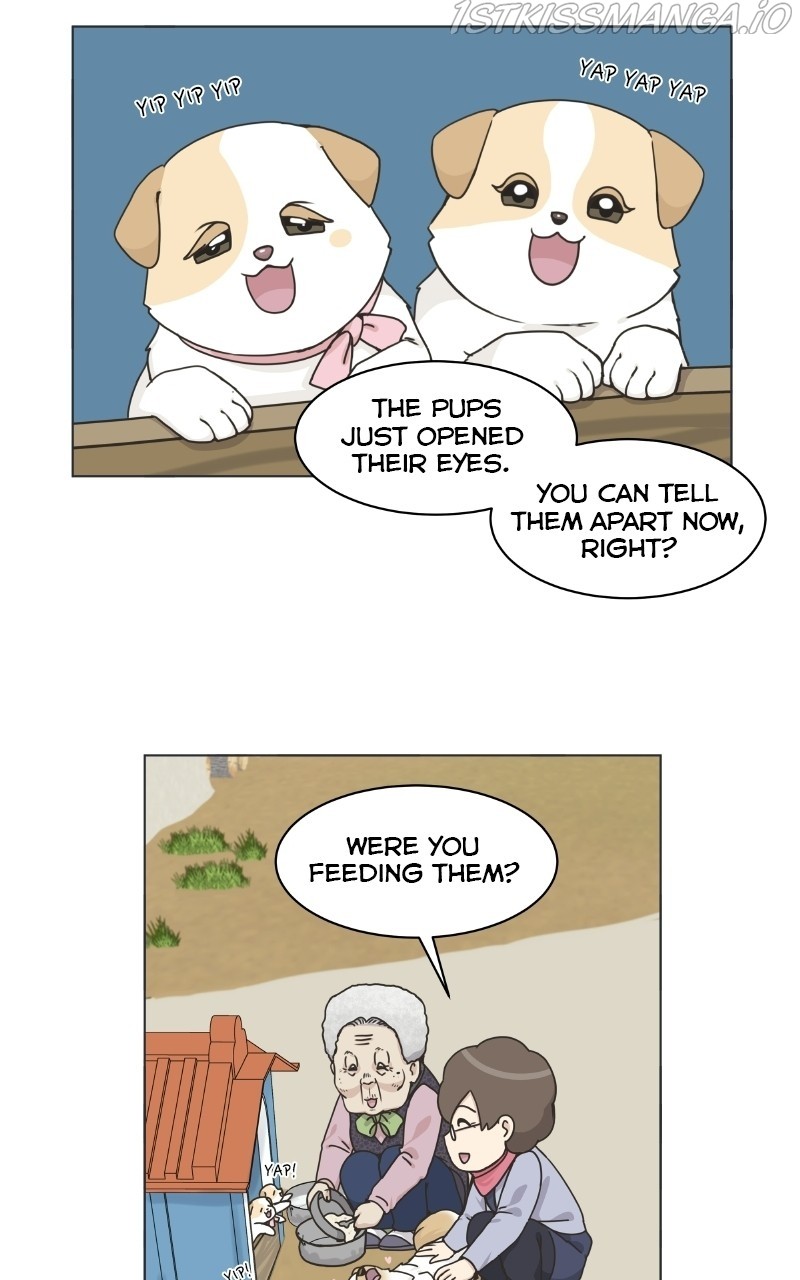The Dog Diaries Chapter 73 - page 30