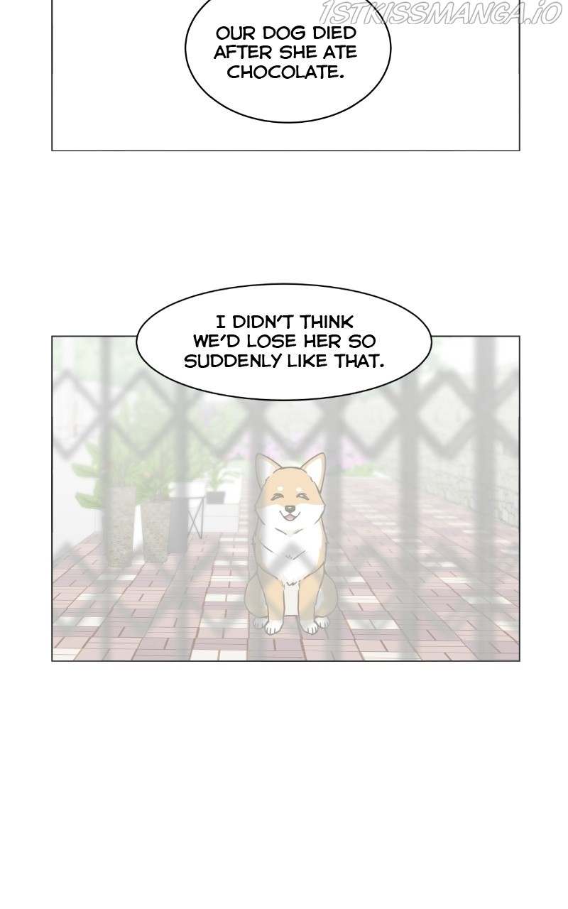 The Dog Diaries Chapter 73 - page 34