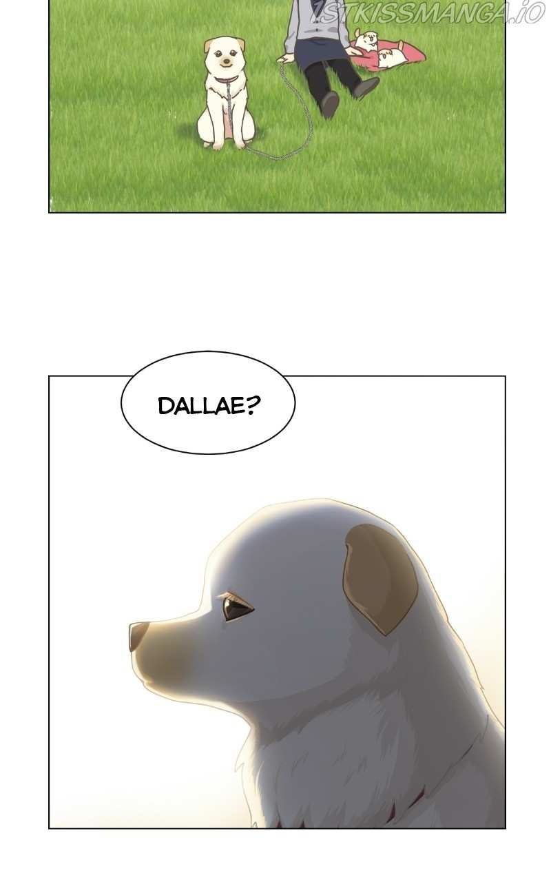The Dog Diaries Chapter 73 - page 46