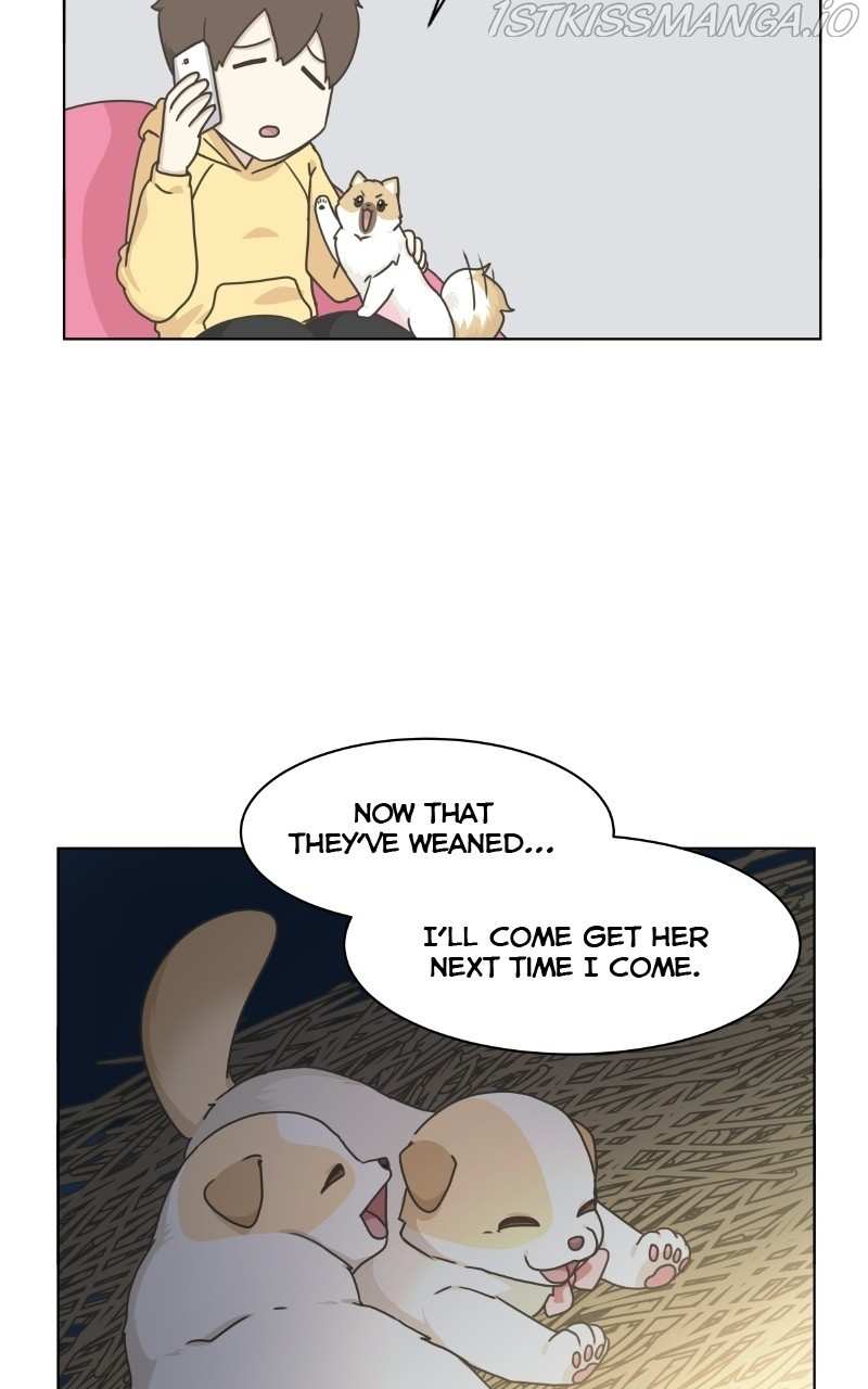 The Dog Diaries Chapter 73 - page 55