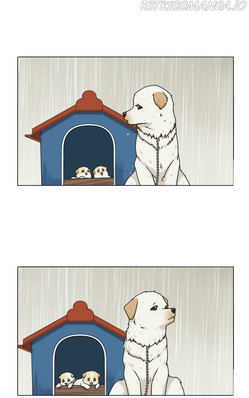The Dog Diaries Chapter 73 - page 68