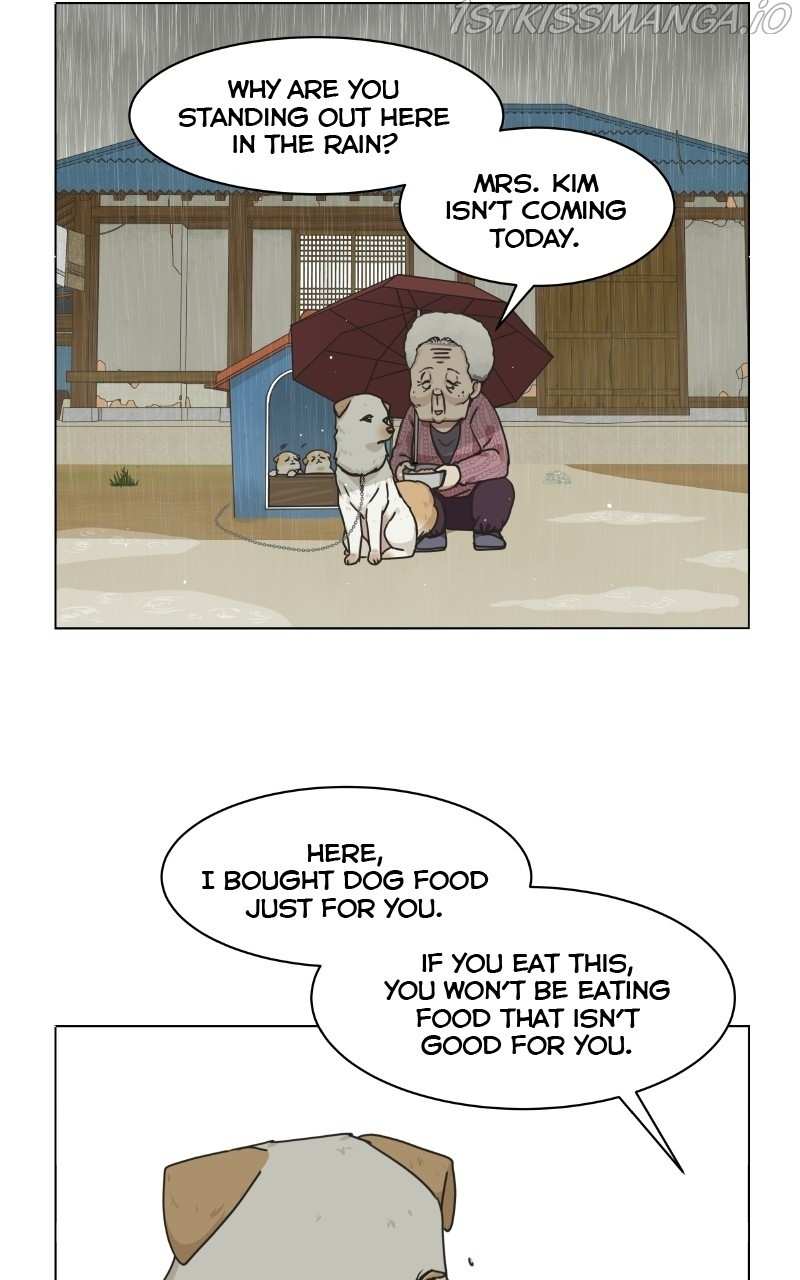 The Dog Diaries Chapter 73 - page 70