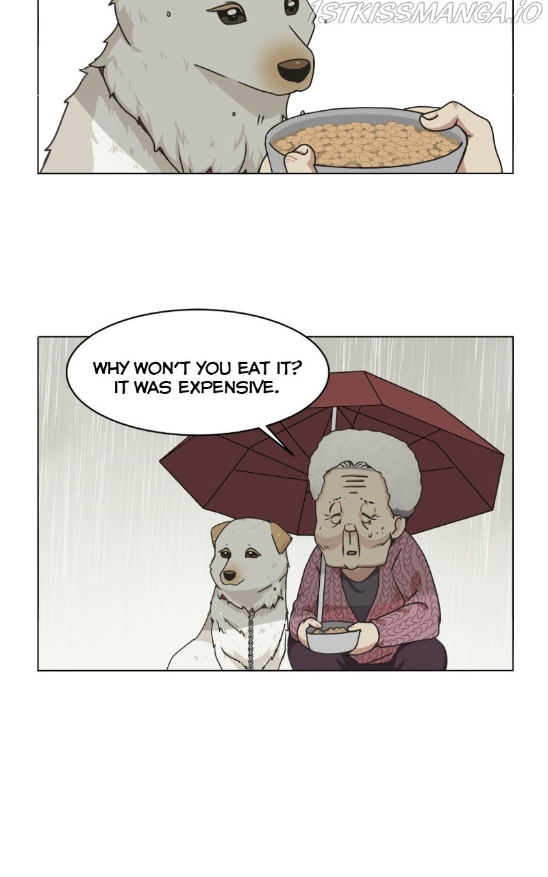 The Dog Diaries Chapter 73 - page 71