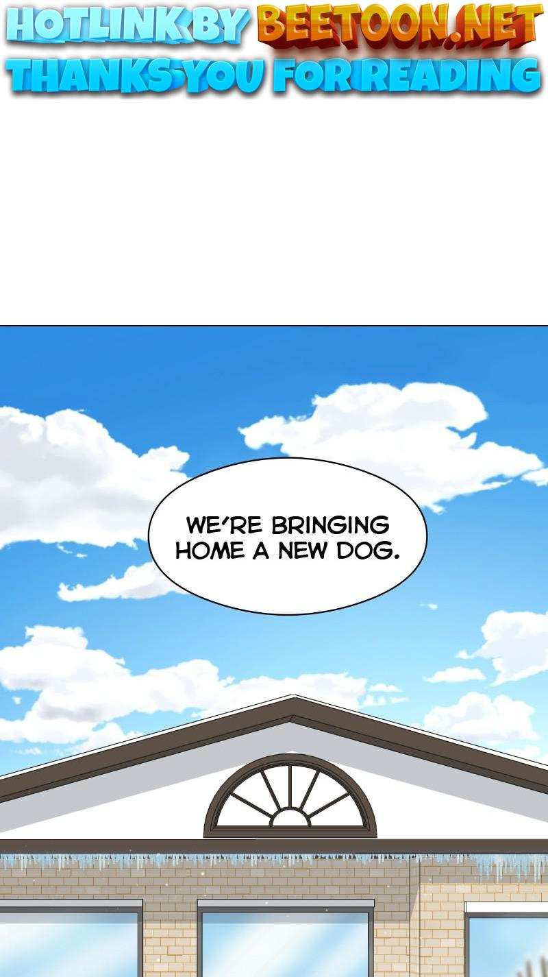 The Dog Diaries Chapter 72 - page 1
