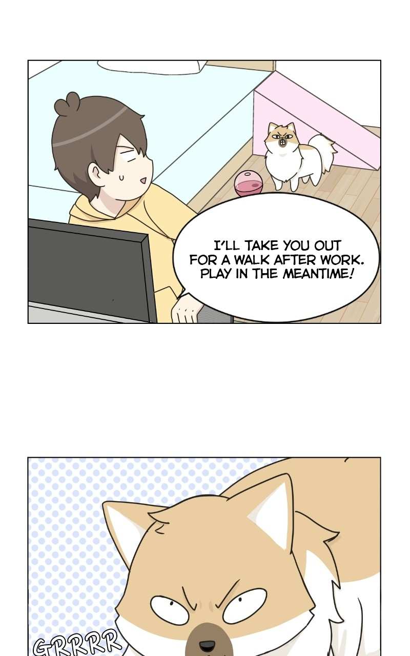 The Dog Diaries Chapter 72 - page 29