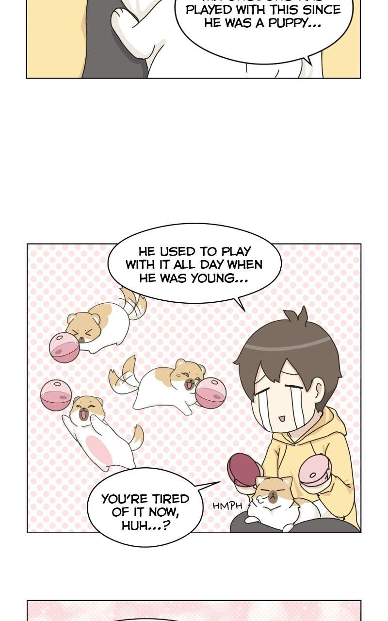 The Dog Diaries Chapter 72 - page 32