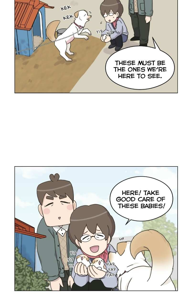 The Dog Diaries Chapter 72 - page 59