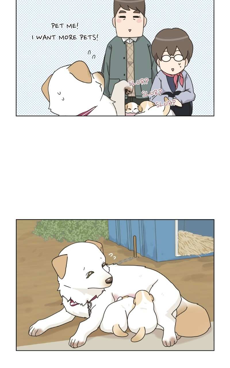 The Dog Diaries Chapter 72 - page 63