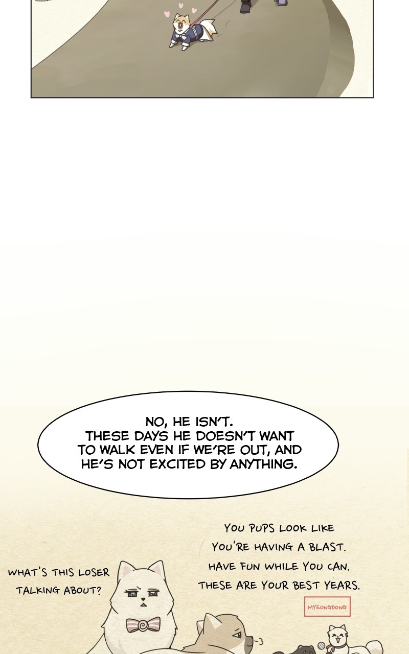 The Dog Diaries Chapter 71 - page 21