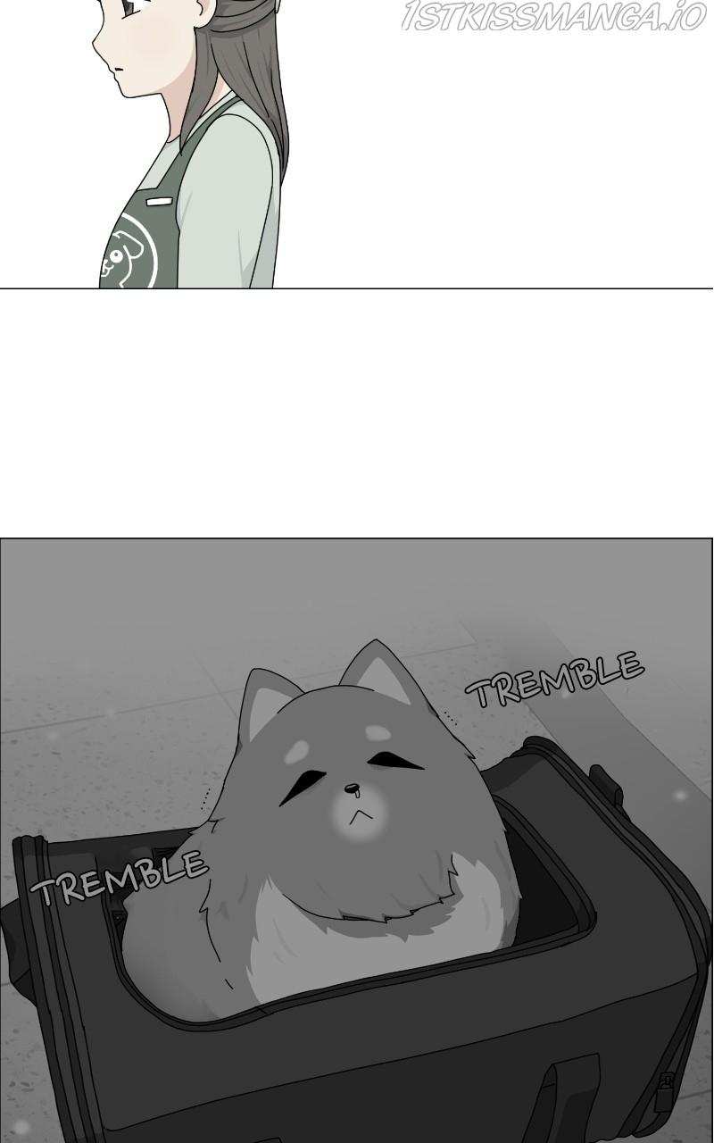 The Dog Diaries Chapter 67 - page 12