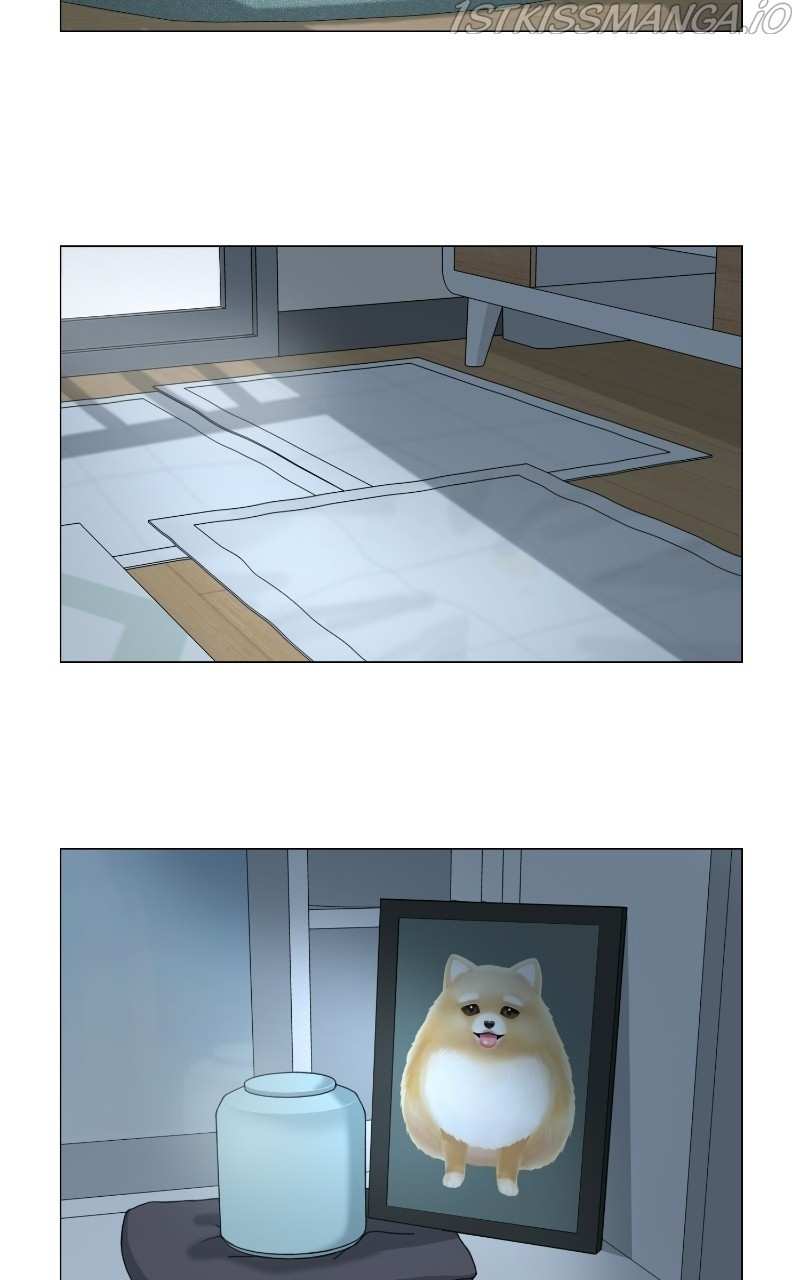 The Dog Diaries Chapter 66 - page 21
