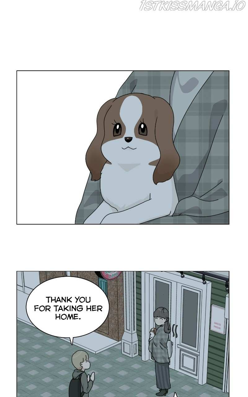 The Dog Diaries Chapter 66 - page 49