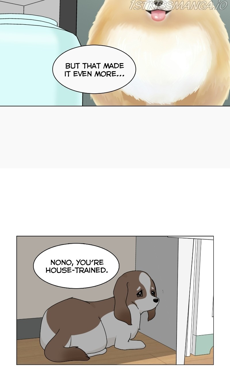 The Dog Diaries Chapter 66 - page 62