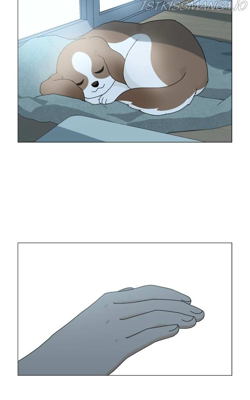 The Dog Diaries Chapter 66 - page 67