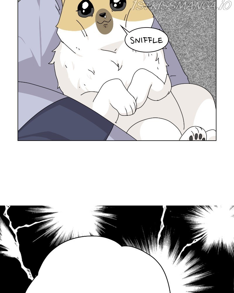 The Dog Diaries Chapter 62 - page 27
