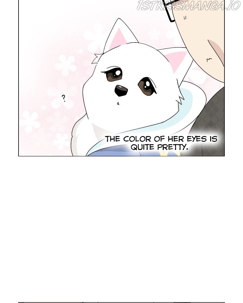 The Dog Diaries Chapter 62 - page 39